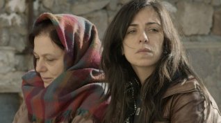 Online film Domovina