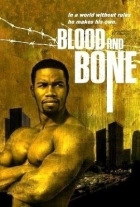 Online film Blood and Bone