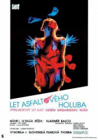 Online film Let asfaltového holuba