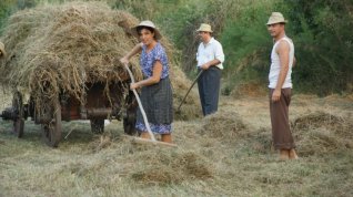 Online film Il cacciatore di anatre