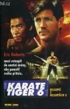 Online film Karate tiger 6: Nejlepší z nejlepších 2