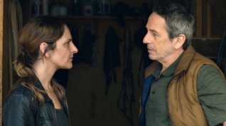 Film Psi online Online film Psi