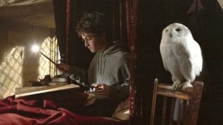 Online film Harry Potter a vězeň z Azkabanu