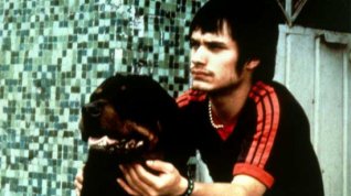 Online film Amores perros – Láska je kurva