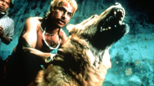 Online film Amores perros – Láska je kurva