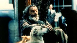 Online film Amores perros – Láska je kurva