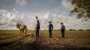 Online film Mudbound