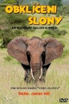 Online film Obklíčeni slony