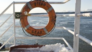 Online film Diego Star