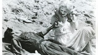 Online film Co se vlastně stalo s Baby Jane?