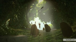 Online film Cesta do říše krále pírek