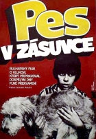 Online film Pes v zásuvce