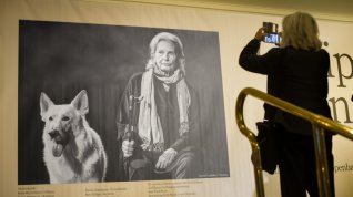 Online film Hledání Ingmara Bergmana