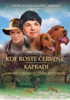 Online film Kde roste červené kapradí