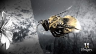 Online film Porušování pravidel