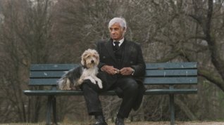 Online film Muž a jeho pes