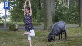 Online film Kleine Ziege, sturer Bock