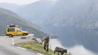 Online film Kleine Ziege, sturer Bock