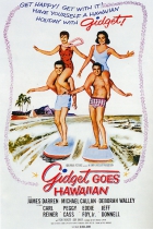 Online film Gidget Goes Hawaiian