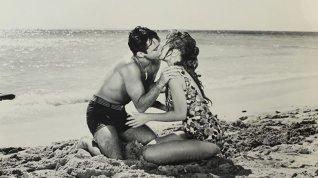 Online film Gidget Goes Hawaiian