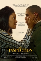 Online film The Inspection