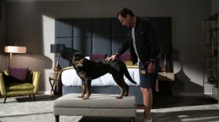 Online film Show Dogs