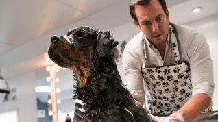 Online film Show Dogs