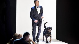 Online film Show Dogs
