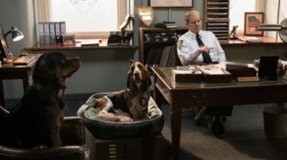 Online film Show Dogs