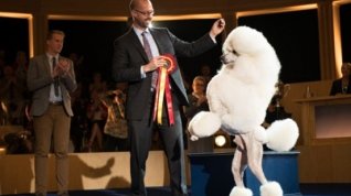 Online film Show Dogs