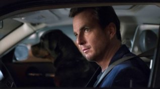 Online film Show Dogs