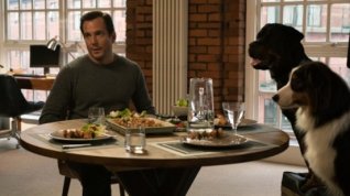 Online film Show Dogs