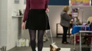 Online film Show Dogs