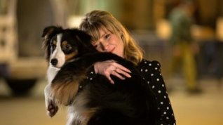 Online film Show Dogs