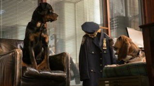 Online film Show Dogs