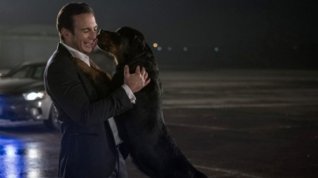 Online film Show Dogs