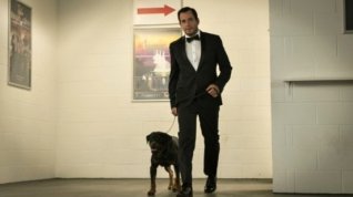 Online film Show Dogs