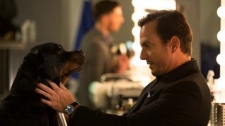 Online film Show Dogs