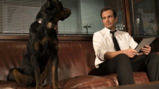 Online film Show Dogs