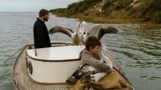 Online film Chlapec a pelikán