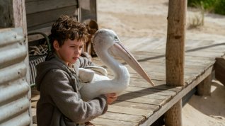 Online film Chlapec a pelikán