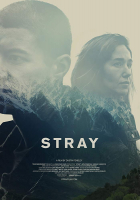 Online film Stray