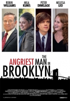Online film The Angriest Man in Brooklyn