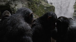 Online film Válka o planetu opic