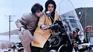 Online film Harold a Maude