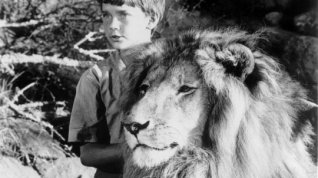 Online film The Lion