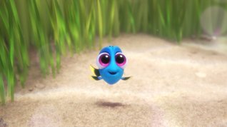 Online film Hledá se Dory