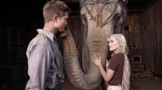 Online film Voda pro slony
