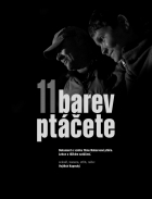 Online film Jedenáct barev ptáčete