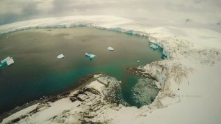 Online film Antarctica